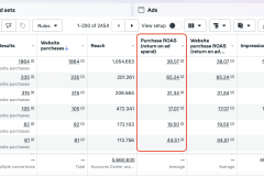  DJI Store Italy – E-commerce Performance Scaling